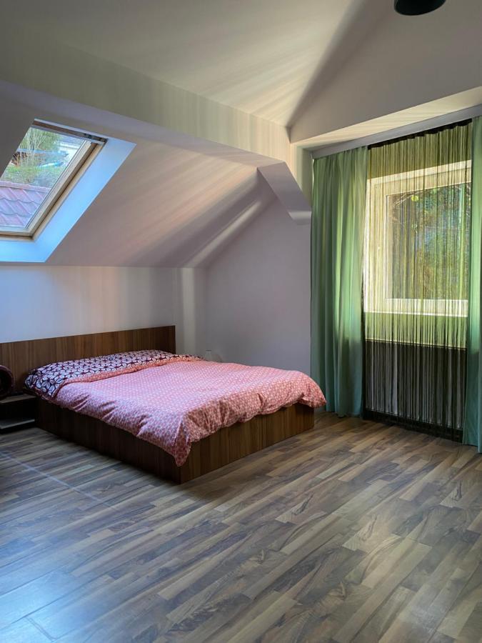 Villa Zetta Brasov Ngoại thất bức ảnh