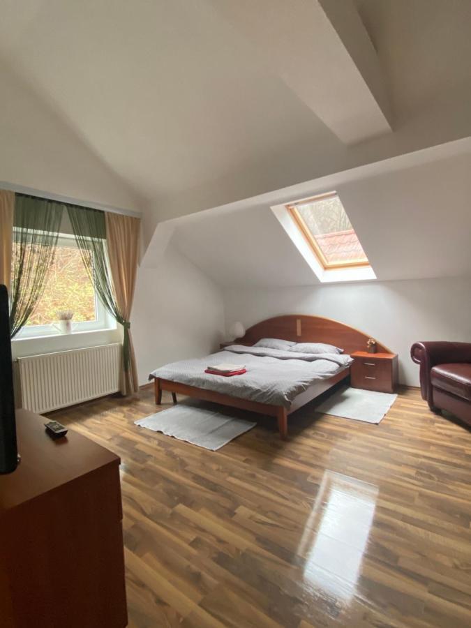 Villa Zetta Brasov Ngoại thất bức ảnh