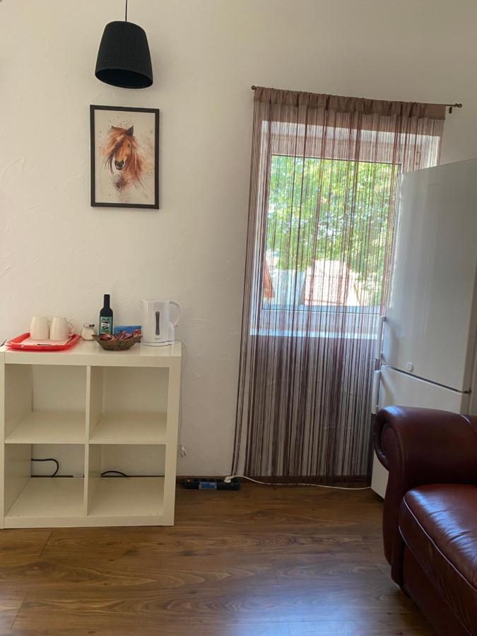 Villa Zetta Brasov Ngoại thất bức ảnh