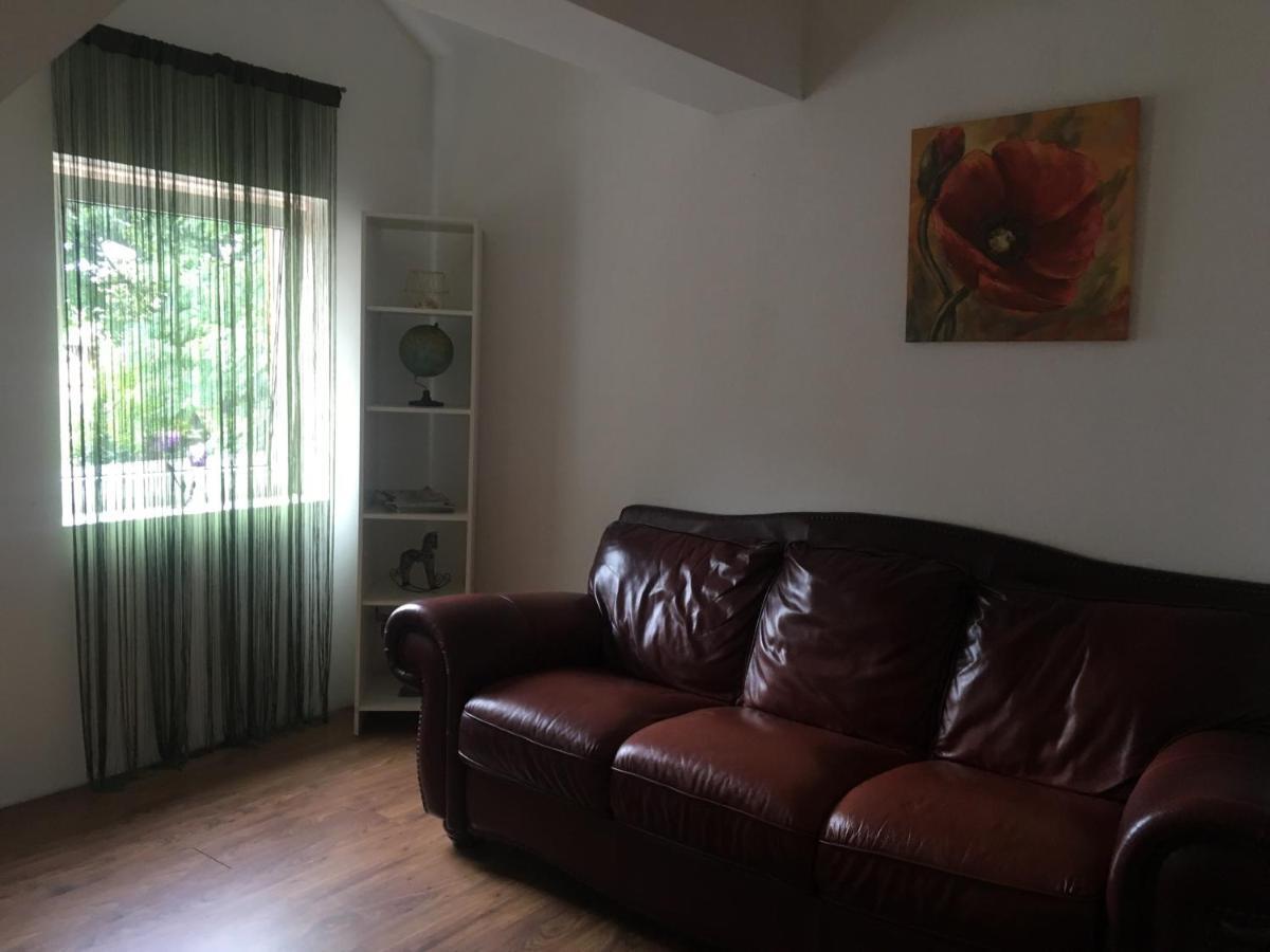 Villa Zetta Brasov Ngoại thất bức ảnh